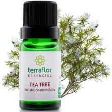  Oleo essencial Tea Tree Melaleuca óleo essencial 10 ml